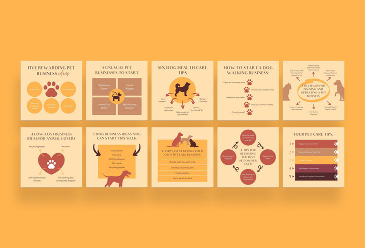 Pet Business Social Media Infographics Canva Templates