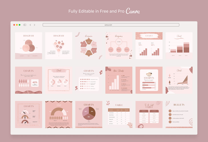 30 Infographics Rose Gold Instagram Engagement Booster Post Canva Templates